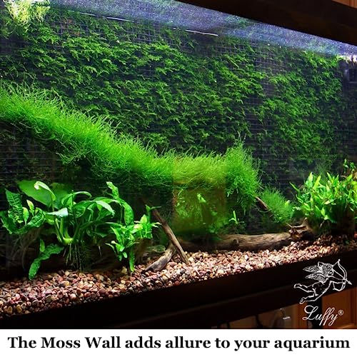 Luffy Decorative Aquatic Moss Wall, 2 Plastic Floor Wire Mesh Sheets, Air Vent Screens, Aquarium Plant Accessory for Seaweed, Net Pad for DIY Projects, Carpet for Fish Tank, 12 x 8 Inches