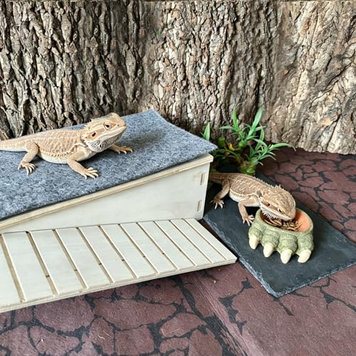 Bearded Dragon Basking Platform Gecko Hide Wood Reptile Hide Cave | Large,12.9"×7.1"×4.7",Detachable,Installation Instructions,with Slate Rock Mat,for Gecko Chameleon Snake Crested Gecko - size: Large