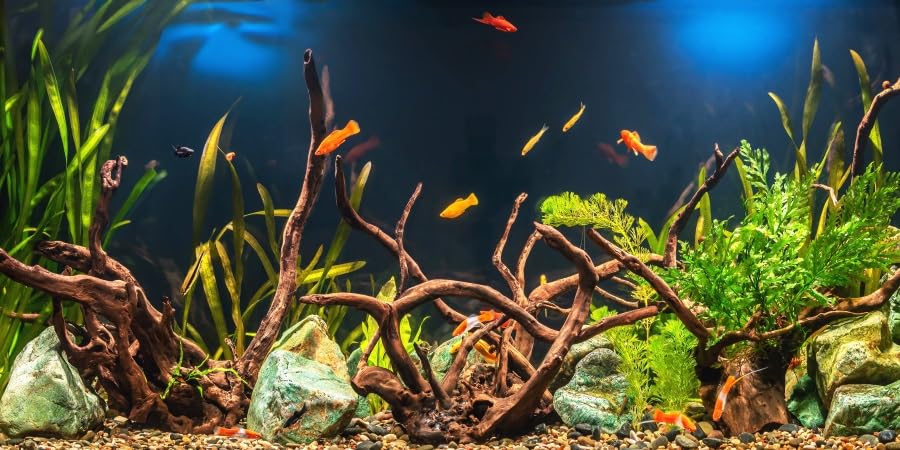 YongFoto Fish Tank Background 24x16 inch Aquarium Background River Bed Waterweeds Moss Lake Aquatic Plant Undersea Tree Branch Backdrop Reptile Habitat Terrarium Background - color: Green-4, size: 24x16in/60x40cm