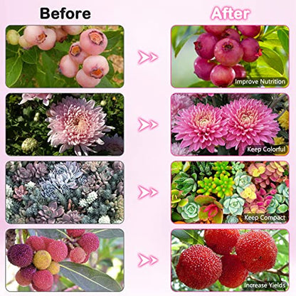 SYEIORAOM Grow Lights for Indoor Plants, Six Head Plant Light with Full Spectrum, LED Grow Lamps for Seed Starting with Adjustable Gooseneck, Suitable for Flowers Vegetables - size: Six-head plant light