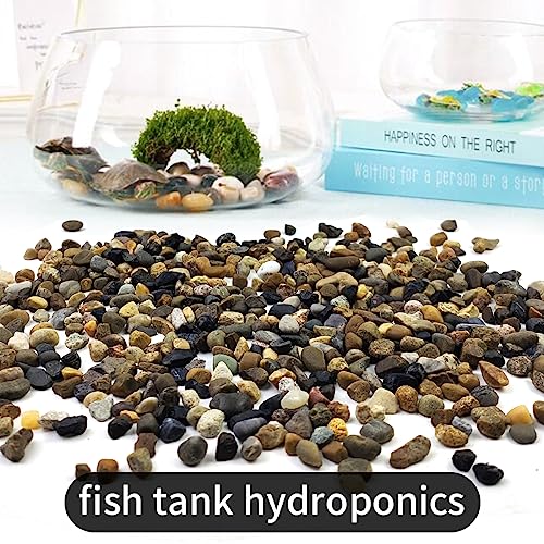 5LB Aquarium Gravel, 1/4" Pea Gravel for Fish Tank, Small River Rocks for Garden Decoration, Landscaping, Vase Filling, Flower Pot Paving(4-8MM) - size: 5LB, style: 4-8MM