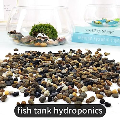 5LB Aquarium Gravel, 1/4" Pea Gravel for Fish Tank, Small River Rocks for Garden Decoration, Landscaping, Vase Filling, Flower Pot Paving(4-8MM) - size: 5LB, style: 4-8MM