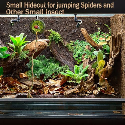 2 Pack Jumping Spider Hide Cave & Climbing Kit, Jumping Spider Accessories, Reptile Hide with Strong Magnet for Jumping Spiders, Tarantulas, Small Reptiles and Amphibians