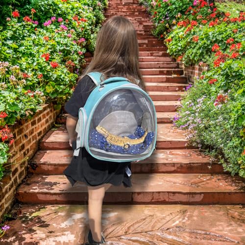 Guinea Pig Backpack Carrier, Bearded Dragon Carrier Backpack with Clear Bubble Window,Small Animal Travel Backpack for Hedgehog Rat，Chameleon,Rabbit,Sugar Glider,Airline Approved (Green, Backpack) - color: Green