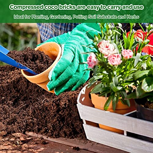 Pack of 5 Organic Coco Coir Bricks- 100% Natural Coco Peat Soil | Low EC & Balanced pH, Compressed Coconut Fiber Substrate, Supports Plant Root Growth for Seed Starting, Potting & Gardening - size: 5 Pack