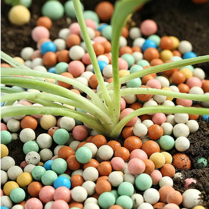 2 lb Clay Pebbles Clay Balls for Plants 6mm-8mm Mini Hydroponics Ceramic Ball Horticultural Grade Succulent Soil,for Plant Pots Vase Fillers Hydroponic Growing,Colourful - color: Colourful