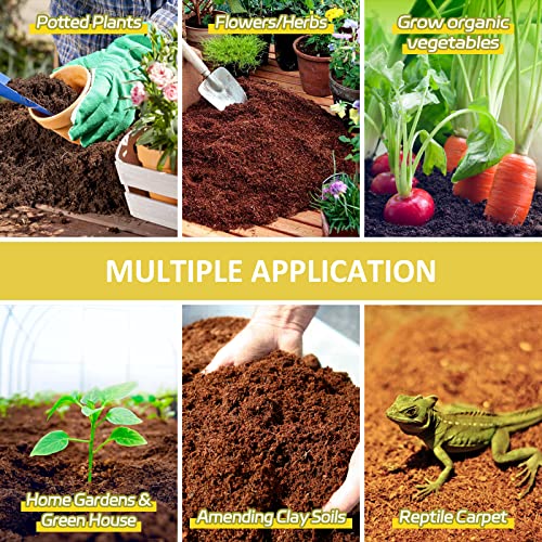 3 Pack Organic Coco Coir Brick for Plants, Natural Coconut Coir Soil | Moisture Retention, Coconut Fiber Substrate for Seed Starting, Soil Amendment, Potting Mix, Gardening, Composting & Reptile - size: 3 Pack
