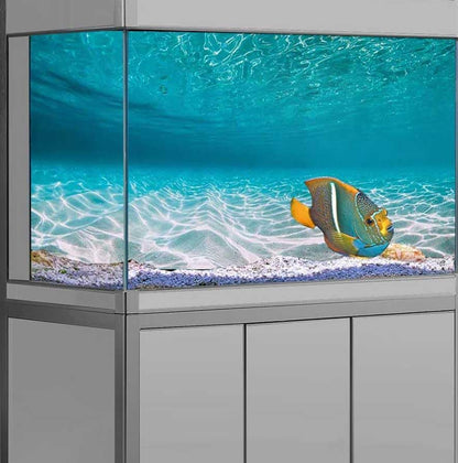 24X12IN Natural Undersea Aquarium Background, Undersea Beach Fish Tank Background, with 8 EVA Double-Sided Tape - color: Sea, size: 24X12in/60X30cm