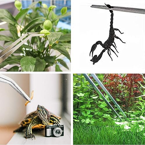 3Pcs Aquascaping Tools Kit, Long Stainless Steel Aquatic Plant Tweezers, Scrapers, Long Handle Feeder Tools for Fish Aquariums, Reptiles Snakes Lizard Gecko Spider and Bird (Silver) - color: Silver