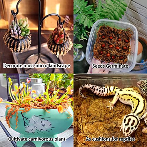 10OZ Sphagnum Moss for Plants - 12QT Natural Long Fibers Orchid Moss | Moisture Retention & Drainage Balance, Plant Moss for Orchids, Succulents, Carnivorous, Ferns, Reptile Bedding & Terrariums - size: 12 QT(10 oz)