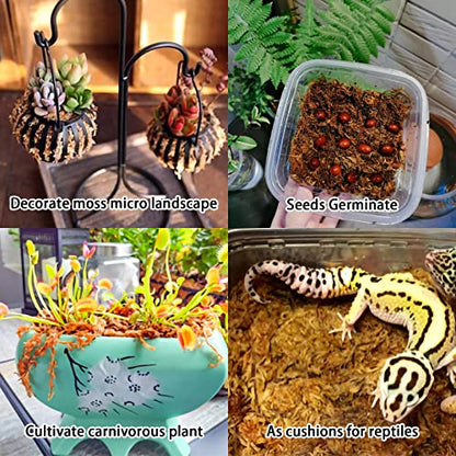 10OZ Sphagnum Moss for Plants - 12QT Natural Long Fibers Orchid Moss | Moisture Retention & Drainage Balance, Plant Moss for Orchids, Succulents, Carnivorous, Ferns, Reptile Bedding & Terrariums - size: 12 QT(10 oz)