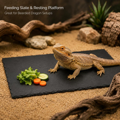 Extra Large Natural Slate Reptile Basking Platform, 15.7 x 7.9 in Rock Feeding Plate for Tortoise, Turtle & Bearded Dragon, Textured Food Dish for Natural Claw Filing, Reptile Habitat Decor