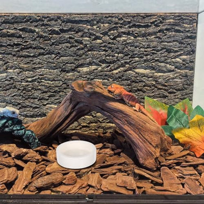 2 Pcs Ceramics Reptile Feeding Bowls for Small Reptile Animals and Lizards, White Round Bowls with Stable Desktop Standing and Safe Material, for Food and Water Storage