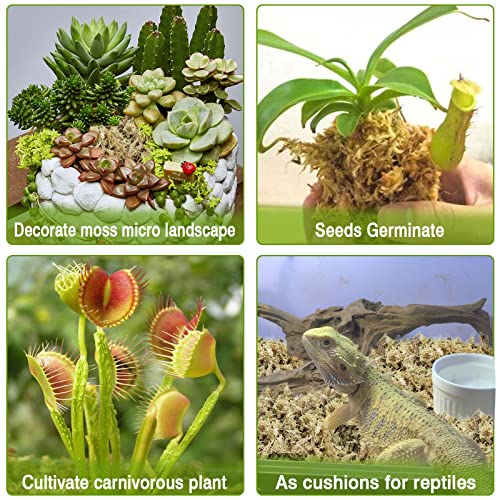 1.2LB Sphagnum Moss for Plants- 20QT Natural Long Fibers Orchid Moss | Moisture Retention & Drainage Balance, Plant Moss for Orchids, Succulents, Carnivorous, Ferns, Reptile Bedding & Terrariums - size: 20 QT(1.2 lb)