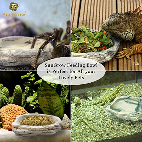 SunGrow Small Hermit Crab Feeding Bowl, for Turtle, Leopard & Crested Gecko, Ball Python, Durable, Multifunctional Decor, Serve as Climbing Toy or Drinking Bowl