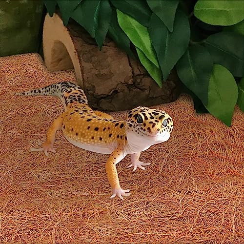 3 Rolls Reptile Carpet 18x24 Inch Coconut Fiber Mat for Tank Bedding | Natural Coconut Fiber Reptile Carpet Liner Flooring, Absorbent & Reusable For Bearded Dragons, Tortoises, Lizards & Geckos - size: 3 Pcs (18X24in)
