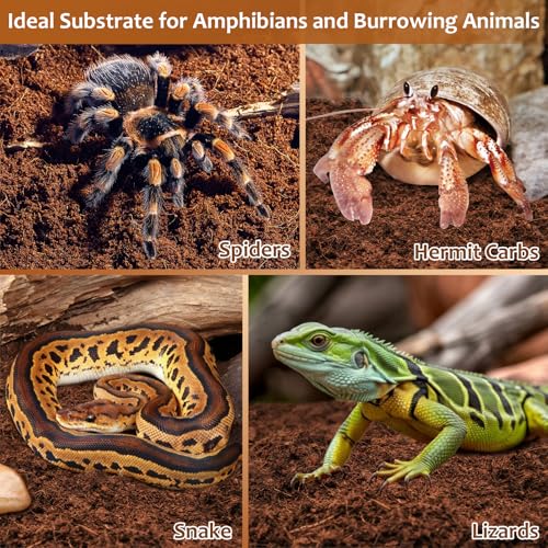 Riare 8 Pack Natural Coconut Fiber Substrate, Coco Coir Reptile Substrate | Coconut Husk Reptile Bedding for Tortoises, Snakes, Geckos, Bearded Dragons & Hermit Crabs, Enclosures & Terrarium Setups - color: 8 pack