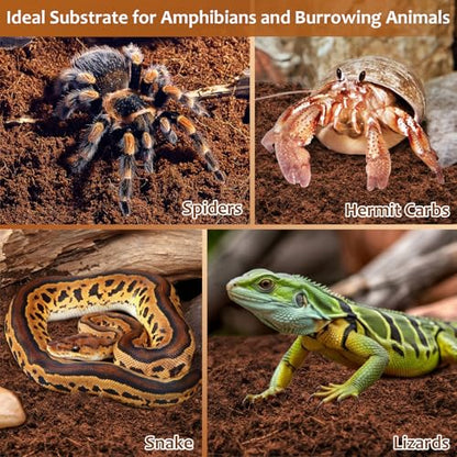 Riare 8 Pack Natural Coconut Fiber Substrate, Coco Coir Reptile Substrate | Coconut Husk Reptile Bedding for Tortoises, Snakes, Geckos, Bearded Dragons & Hermit Crabs, Enclosures & Terrarium Setups - color: 8 pack