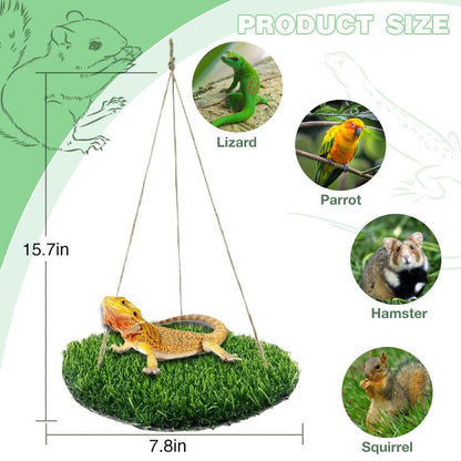 Reptile Hammock Swing Hanging Bed, PP Grass Pad，Portable Bird Swing Stand Reptile Natural Swing Hanging Bed for Bearded Dragon Leopard Gecko Lizard Birds Parrots（Round） - color: Round