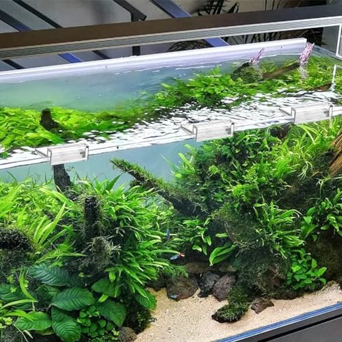 Sliverdew 6 PCS Aquarium Lid Clips, 6mm Clear Acrylic Fish Tank Lid Holder Aquarium Cover Support Clamps for Rimless Aquarium Glass Top, Plastic Fish Tank Cover, Aquarium Hoods - size: for 6mm thickness