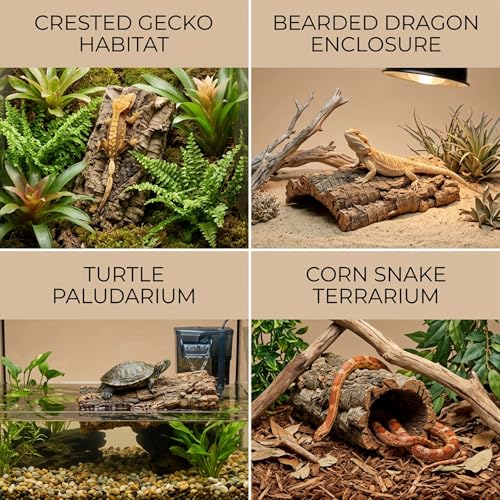 7PCS Cork Bark for Reptiles, Habitat Decoration Set, Reptile Terrarium Climbing Accessories, Five Small and Two Medium Champagne Cork Bark Hide