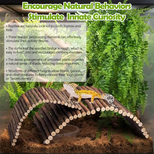 PINVNBY 9PCS Wooden Bridge Hideout and Reptile Plants Vines Climbing Terrarium Habitat Decor Hut Bearded Dragon Tank Accessories for Lizard Crested Gecko Tortoise Snake Hermit Crab