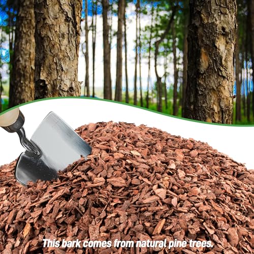 29qt Organic Orchid Potting Bark -Natural Orchid Mulch for Potted Plants, Root Development of Orchid Plants and Garden Soil Amendment Mix… - color: Small, size: 29qt