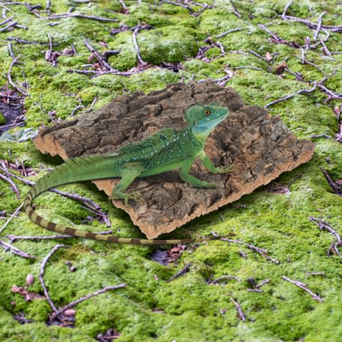 DOITOOL 4 Pcs Cork Bark for Reptiles, 5.9”x5.9” Natural Wood Terrarium Background Decor, Lizard Tank Accessories Climbing Mat Setup for Bearded Dragon Gecko Snake Frog
