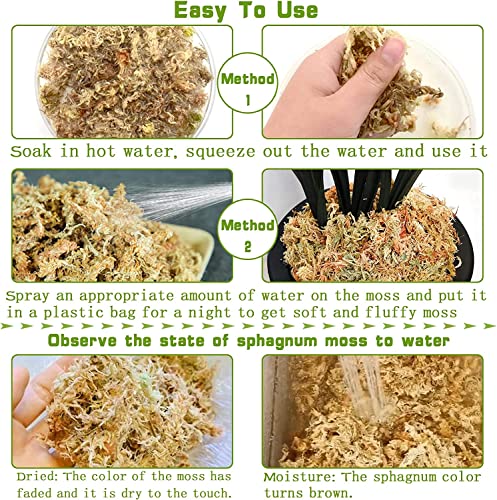 4QT Sphagnum Moss for Plants - 3.5OZ Natural Long Fibers Orchid Moss | Moisture Retention & Drainage Balance, Plant Moss for Orchids, Succulents, Carnivorous, Ferns, Reptile Bedding & Terrariums - size: 4 QT(3.5 oz)