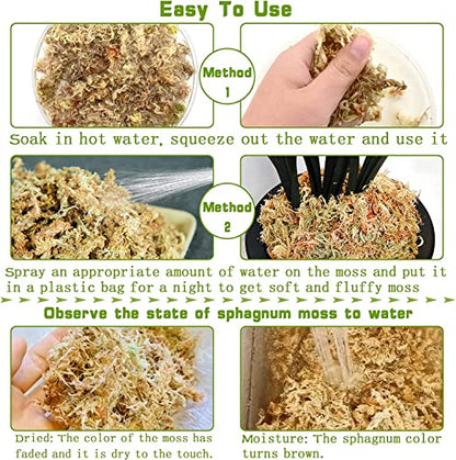 4QT Sphagnum Moss for Plants - 3.5OZ Natural Long Fibers Orchid Moss | Moisture Retention & Drainage Balance, Plant Moss for Orchids, Succulents, Carnivorous, Ferns, Reptile Bedding & Terrariums - size: 4 QT(3.5 oz)