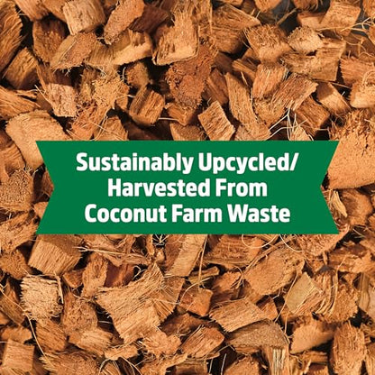 Back to the Roots 100% Organic Mulch, 58 Quart (2 Cubic ft), Expanding Coconut Husk Block for Gardening