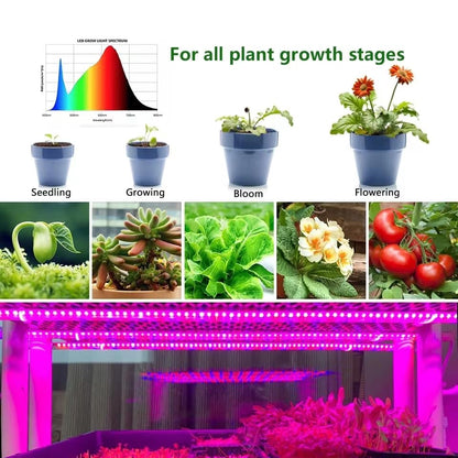LED Grow Light Strips,Waterproof Full Spectrum Plant Grow Light, USB 13.12ft 240LEDs, Flexible Growing Lamp for Indoor Plants Succulents Hydroponics Greenhouse Gardening - size: 4M