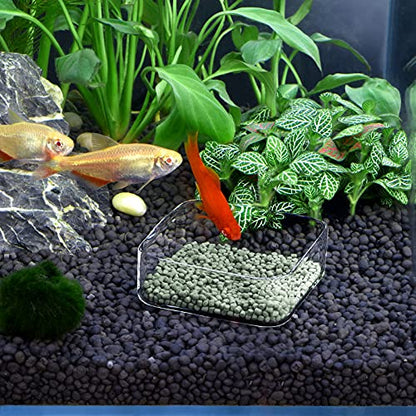 WEAVERBIRD Aquarium Shrimp Feeder Dish Fish Tank Feeding Bowls Glass Square Clear Dish Tray Plate