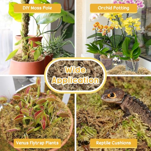 3.3LB Sphagnum Moss for Plants- 60QT Natural Long Fibers Orchid Moss | Moisture Retention & Drainage Balance, Plant Moss for Orchids, Succulents, Carnivorous, Ferns, Reptile Bedding & Terrariums - size: 60 QT(3.3 lb)