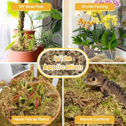 3.3LB Sphagnum Moss for Plants- 60QT Natural Long Fibers Orchid Moss | Moisture Retention & Drainage Balance, Plant Moss for Orchids, Succulents, Carnivorous, Ferns, Reptile Bedding & Terrariums - size: 60 QT(3.3 lb)