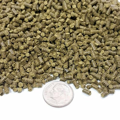 Calcium Blocks Included in These Spirulina Sinking Pellets for Shrimp, Snails, Crabs, Catfish, Plecos for All Tropical Fish 1/16" x 3/8" Pellets by Zeigler.12oz Small Jar - size: 12 Ounce (Pack of 1)
