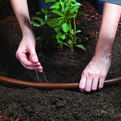 Raindrip SDFSTH1P Automatic Drip Irrigation Watering Kit with Timer for Flowers, Shrubs, and Trees, Waters up to 10 Plants, Includes Timer with Customizable Settings, 2 GPH Drippers - color: Timer, style: Flowers, Shrubs & Trees