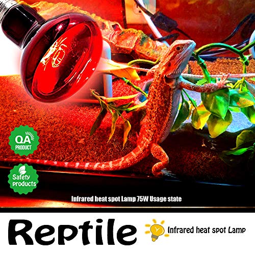 Infrared Heat Lamp Bulbs 75W 2 Pack,Red Basking Spot Light Bulb Reptile Heating lamp for Bearded Dragon,Turtle,Snake,Leopard Gecko,Chicked with Digital Temperature Thermometer - style: 75W(2 Pack)