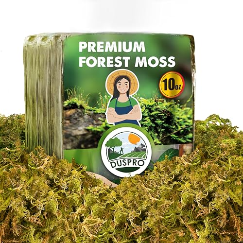 10 Oz Real Dried Forest Moss for Potted Plants, Plant Propagation | Hand-Picked & Clean, Easy to Rehydrate, Balanced Moisture, Forest Orchid Moss for Potting Mix,Moss Soil Cover for Houseplants - size: 10 Oz