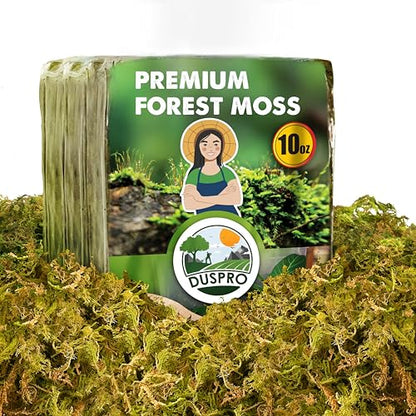 10 Oz Real Dried Forest Moss for Potted Plants, Plant Propagation | Hand-Picked & Clean, Easy to Rehydrate, Balanced Moisture, Forest Orchid Moss for Potting Mix,Moss Soil Cover for Houseplants - size: 10 Oz