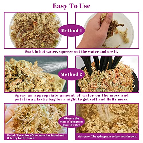 5.3OZ Sphagnum Moss for Plants - 6QT Natural Long Fibers Orchid Moss | Moisture Retention & Drainage Balance, Plant Moss for Orchids, Succulents, Carnivorous, Ferns, Reptile Bedding & Terrariums - size: 6 QT(5.3 oz)