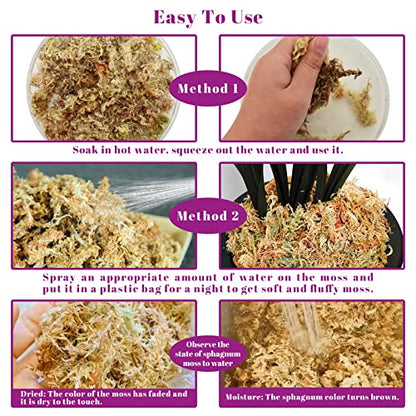 5.3OZ Sphagnum Moss for Plants - 6QT Natural Long Fibers Orchid Moss | Moisture Retention & Drainage Balance, Plant Moss for Orchids, Succulents, Carnivorous, Ferns, Reptile Bedding & Terrariums - size: 6 QT(5.3 oz)