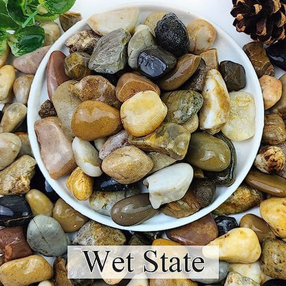 2lbs Aquarium Rocks, 5/8" Natural Mixed Pebbles for Plants | Decorative Polished River Rocks for Fish Tank, Landscaping, Gardening, Flower Pots, Vase Fillers, Indoor Water Fountains - size: 5/8 Inch