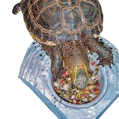 Healthy Herp Box Turtle Food Instant Meal for Reptiles - Nutritious Turtle Food, Tortoise Habitat Accessories, Tortoise Food - Made in USA, Quick Prep - 5.07 oz (145g) - size: 5.07 Ounce (Pack of 1), style: Jar