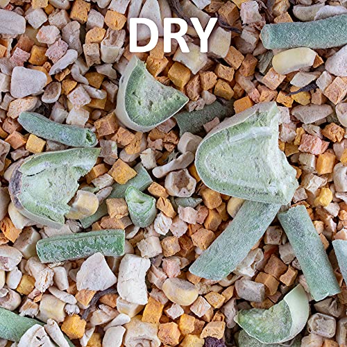 Healthy Herp Tortoise Food Instant Meal for Reptiles - Nutritious Turtle Food, Tortoise Habitat Accessories, Made in USA - Ideal for Box Turtles, Lizards - 3.5 oz (100g) - size: 3.5 Ounce (Pack of 1)