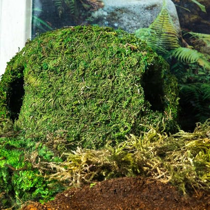 Galápagos (05344) Mossy Cave with Holes | Natural Reptile Hide for Bearded Dragons, Geckos, Snakes, Tortoises, Frogs, Hermit Crabs, and Lizards | Terrarium Decor, 7.5in Diameter