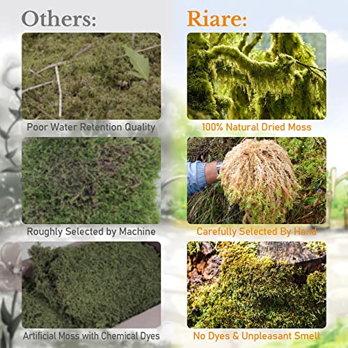 Riare 10OZ Premium Sphagnum Moss for Plants- Natural Long Fiber Plant Moss | High Expansion, Moisture Retention & Drainage, Dried Orchid Moss for Succulent, Carnivorous, Ferns, Reptiles & Terrariums - size: 12QT/10oz