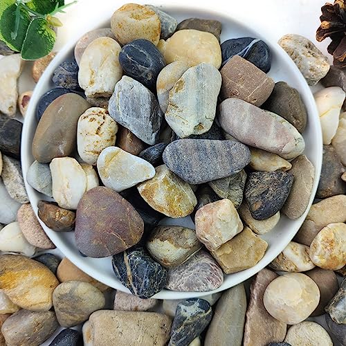 2lbs Aquarium Rocks, 5/8" Natural Mixed Pebbles for Plants | Decorative Polished River Rocks for Fish Tank, Landscaping, Gardening, Flower Pots, Vase Fillers, Indoor Water Fountains - size: 5/8 Inch