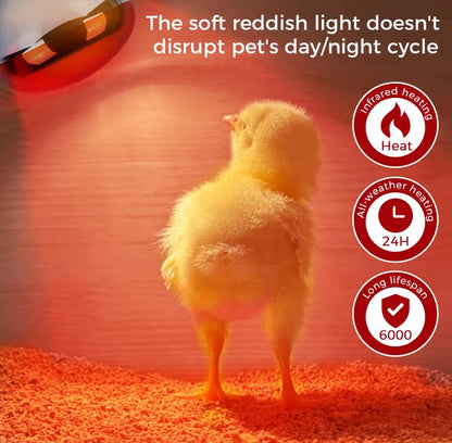 250W Heat Lamp Red Infrared Bulbs, Flood Light Heat Lamp Bulb for Food Service, Brooder Bulb, Chicks, Pet, Bathroom, Light Therapy Use, Glass, 2 Pack - style: Red Infrared -250W-2Pack