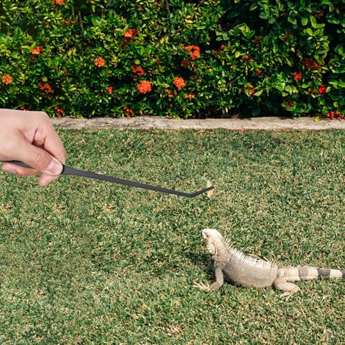 cobee 2 Pcs Extra Long Reptile Feeding Tongs, Straight and Curved Long Tweezers Stainless Steel Food Tweezer 10.6 inch Terrarium Feeder Tool for Lizard Snake Bearded Dragon Aquarium Tank